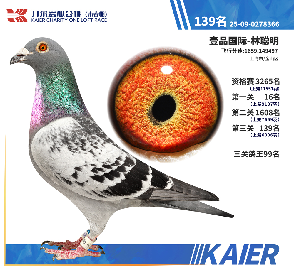 26�꿪��С�������139��