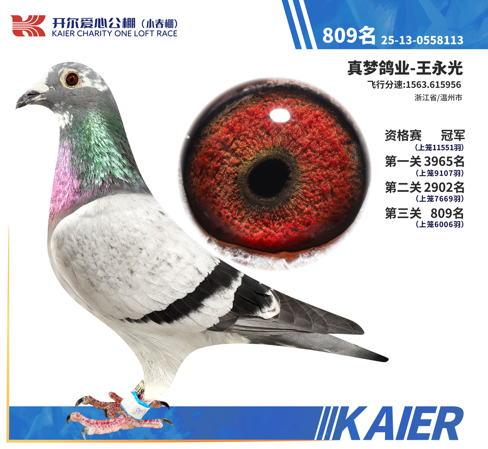 26�꿪��С�����ʸ����ھ�������809��