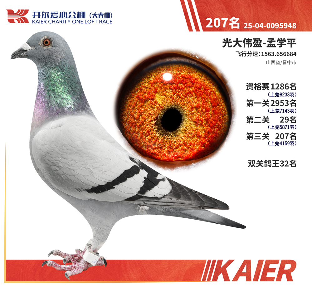 26�꿪���������207��