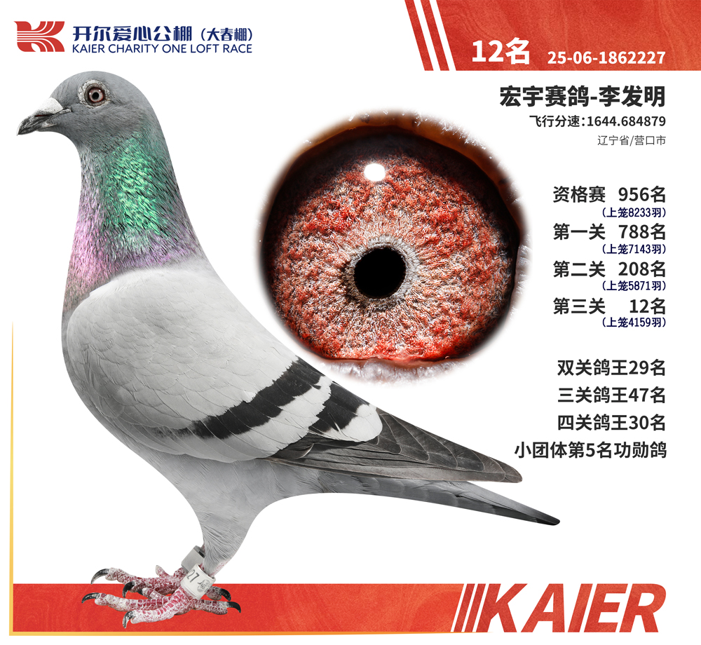 26�꿪���������12��