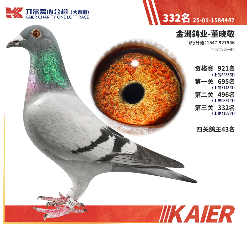26�꿪���������332��