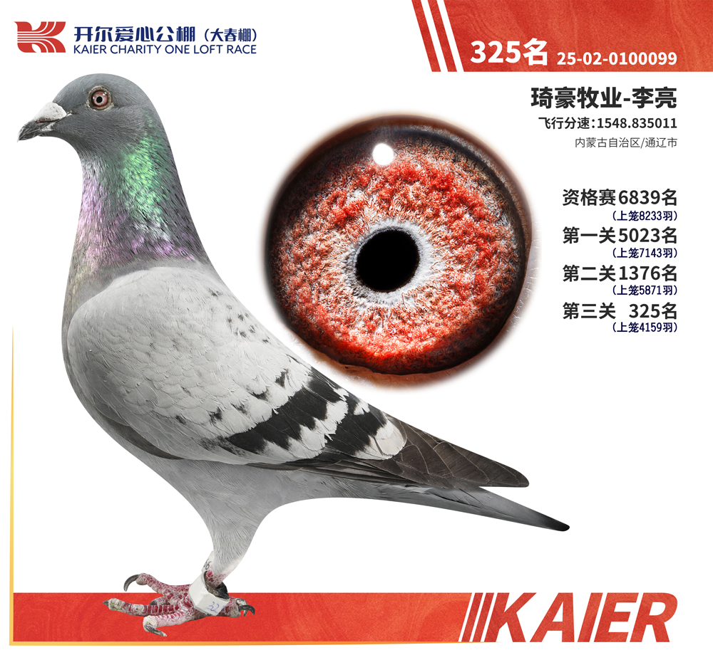 26�꿪���������325��