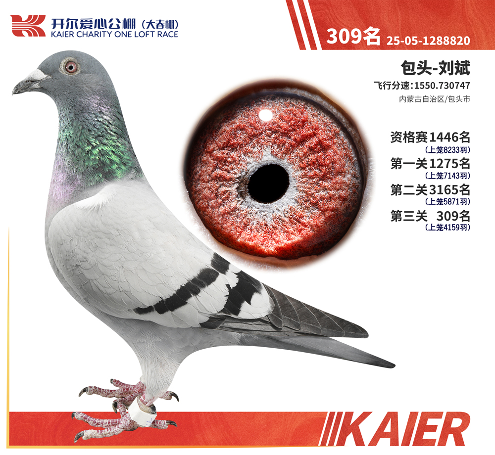 26�꿪���������309��