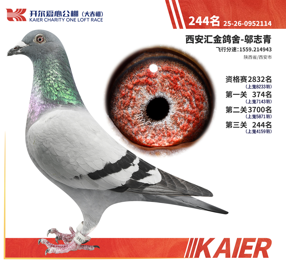 26�꿪���������244��