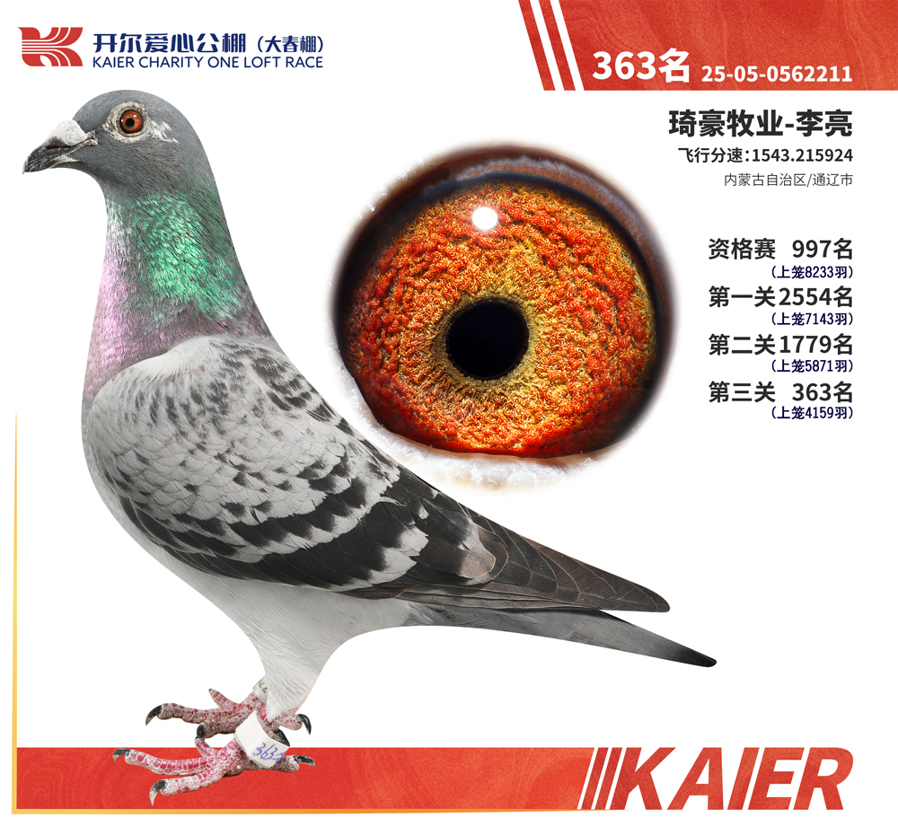 26�꿪���������363��