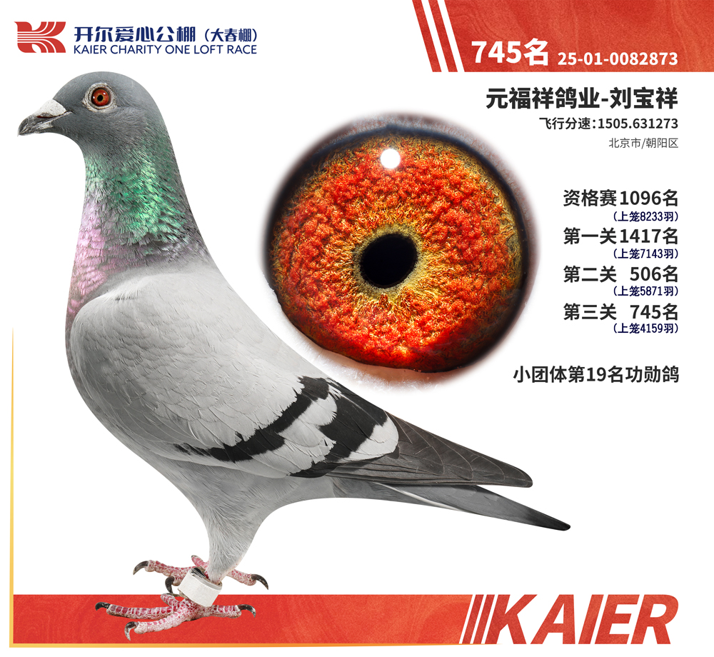 26�꿪���������745��