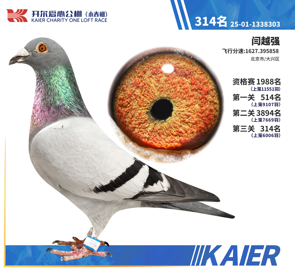 26�꿪��С�������314��