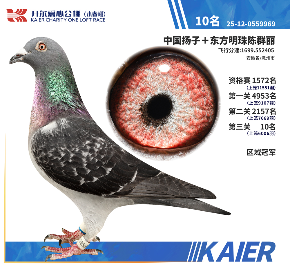 26�꿪��С��������ھ�������10��