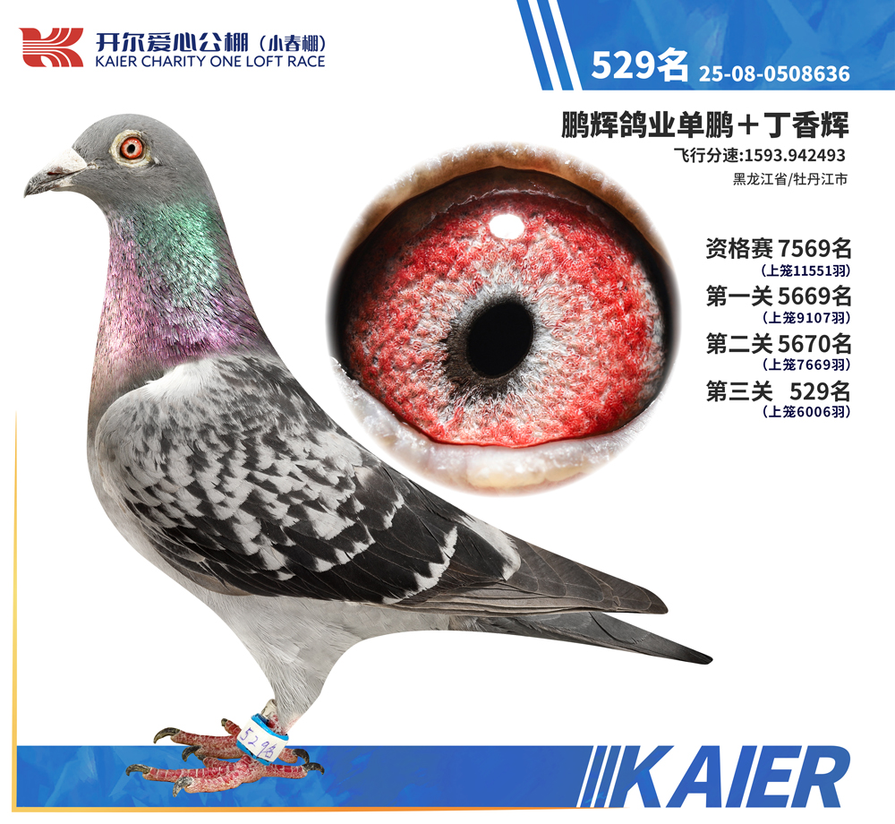 26�꿪��С�������529��