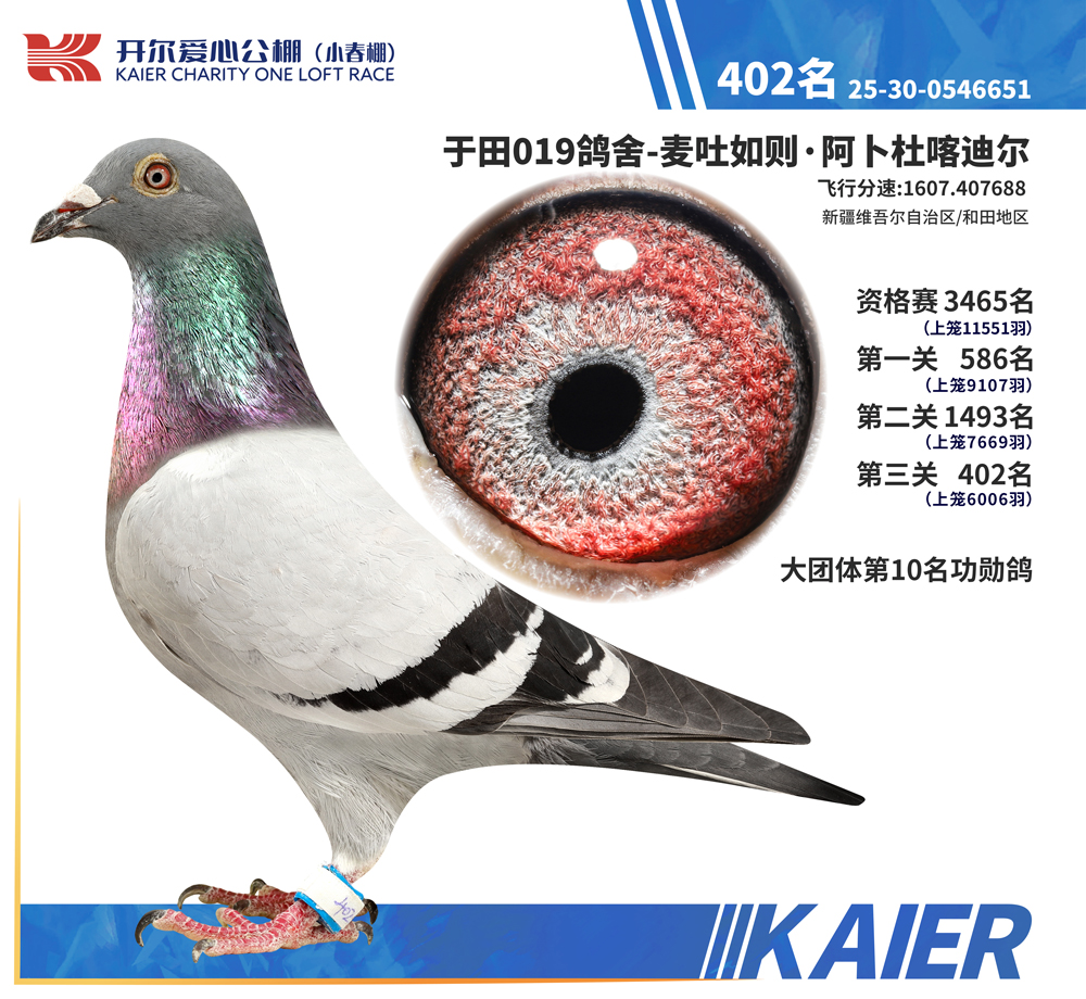 26�꿪��С�������402��
