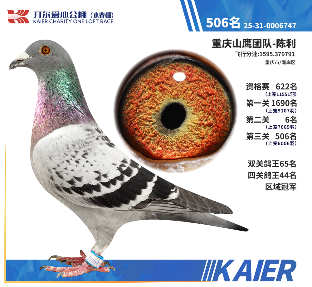 26�꿪��С��������ھ�������506��