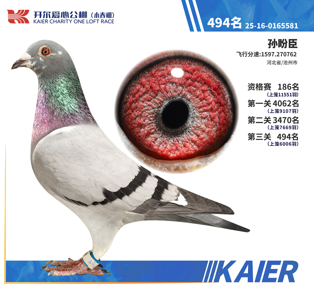 26�꿪��С�������494��