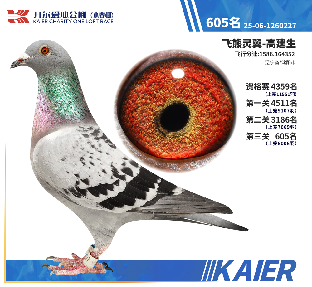 26�꿪��С�������605��