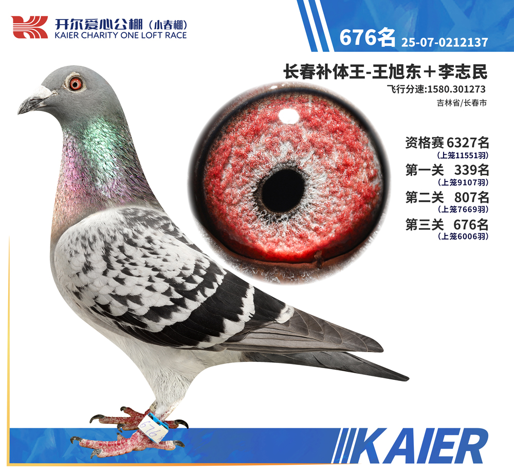 26�꿪��С�������676��