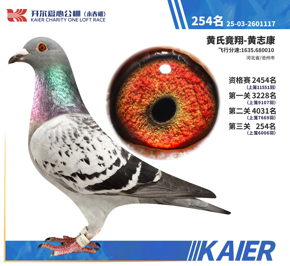 26�꿪��С�������254��