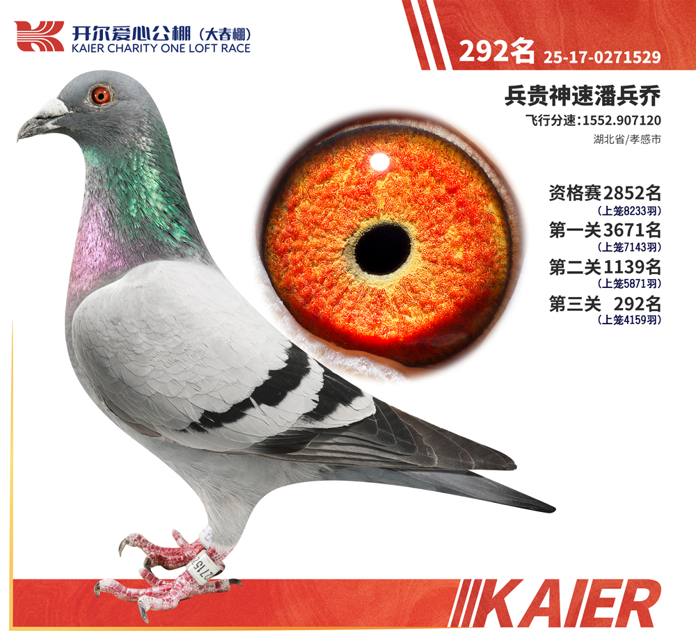 26�꿪���������292��