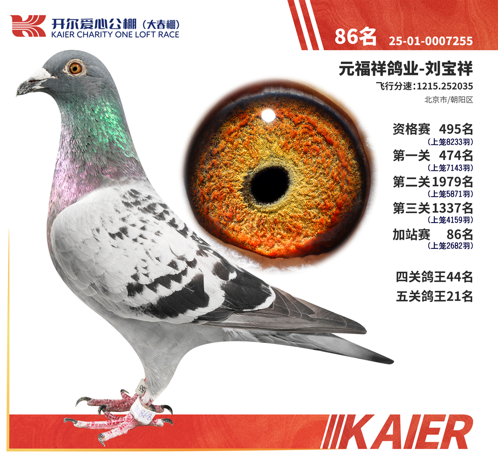 26�꿪��������ظ���21����վ��86