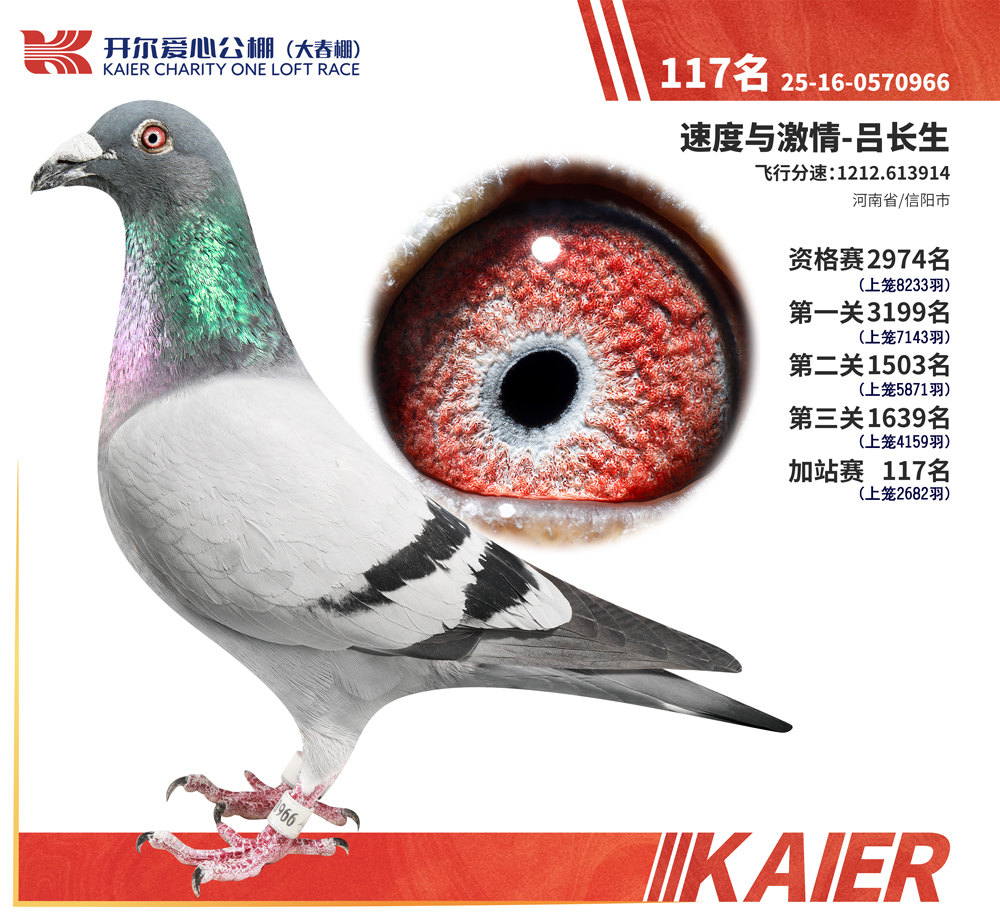 26�꿪�������վ��117��