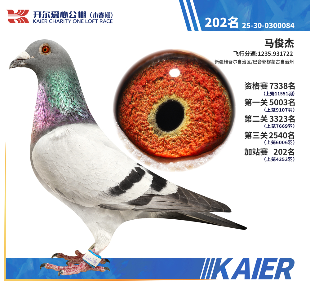 26�꿪��С�����վ��202��
