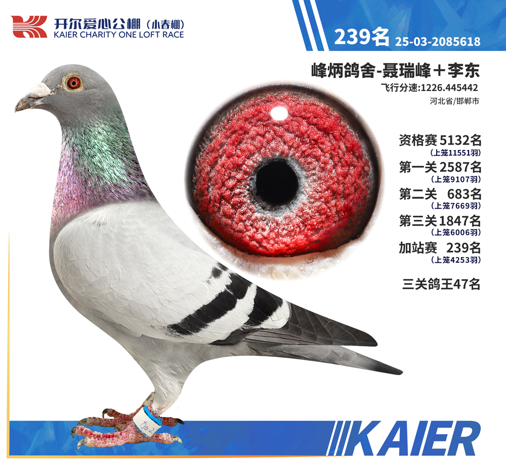26�꿪��С�����վ��239��
