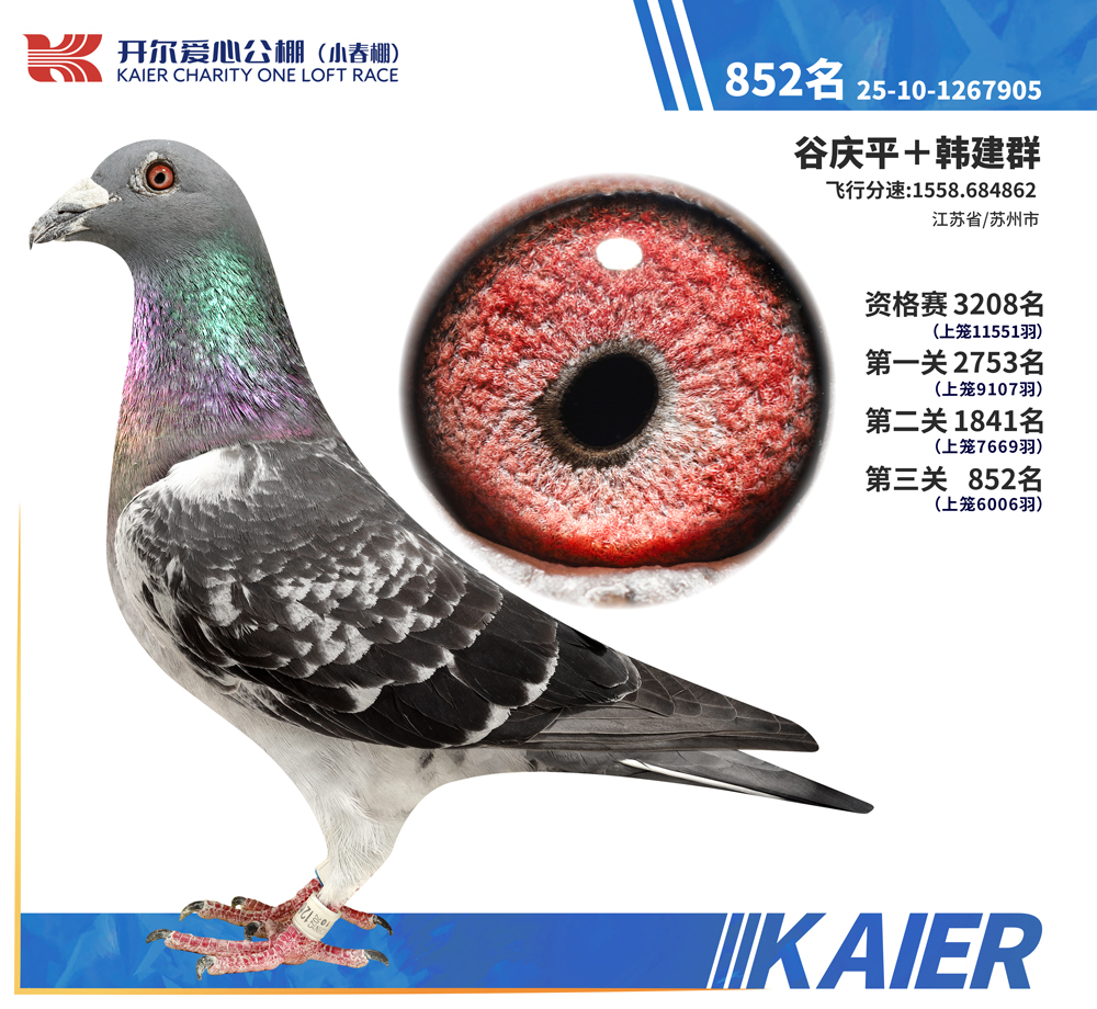 26�꿪��С�������852��