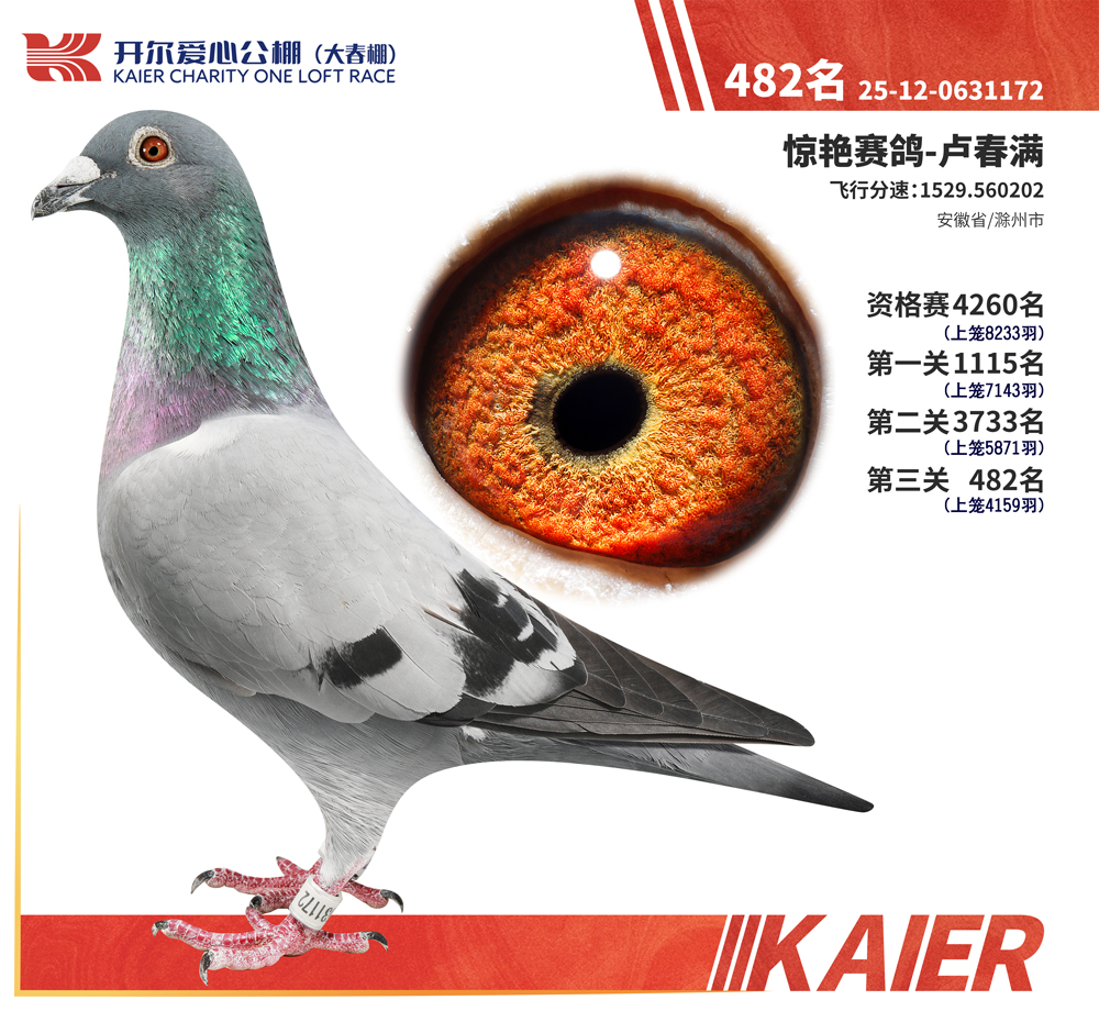 26�꿪���������482��