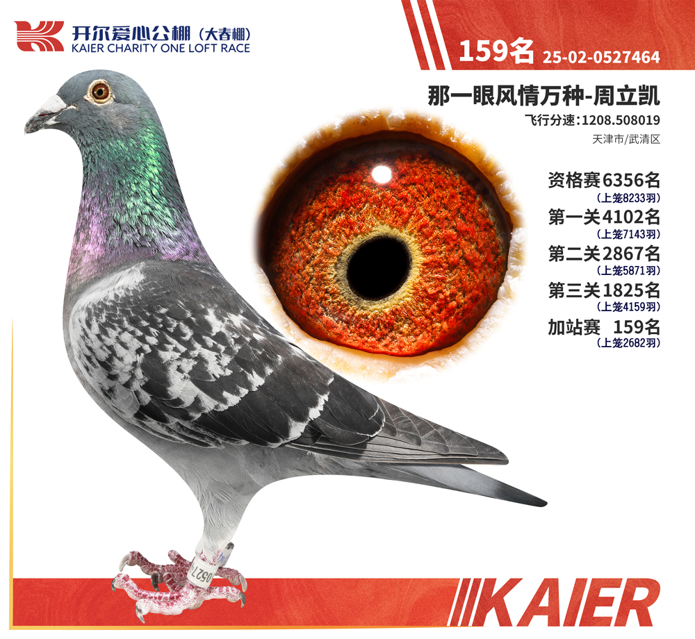 26�꿪�������վ��159��