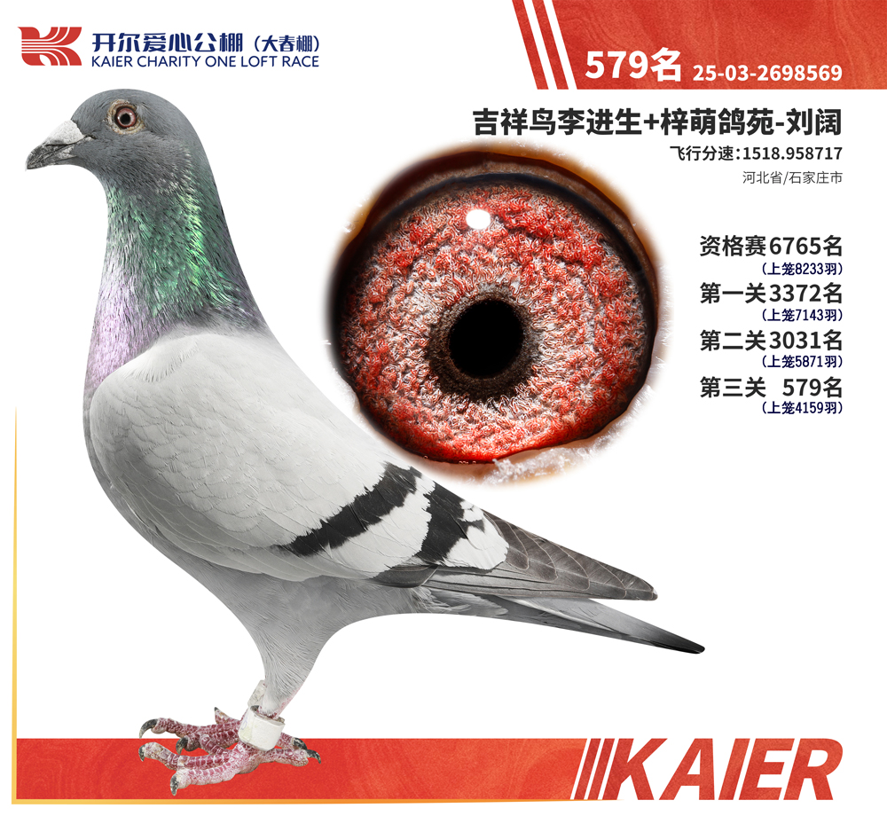 26�꿪���������579��