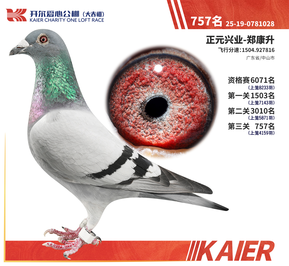 26�꿪���������757��