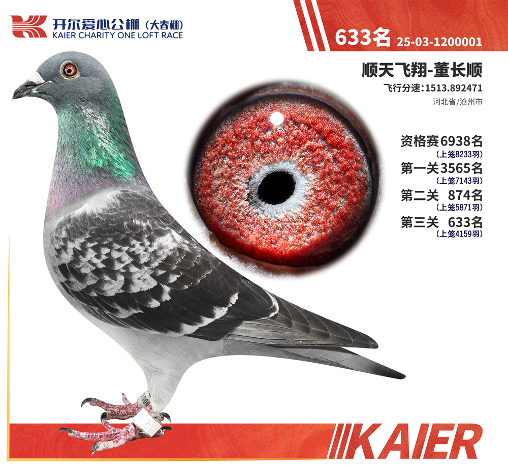 26�꿪���������633��