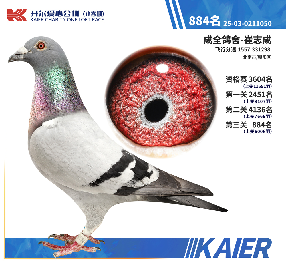 26�꿪��С�������884��