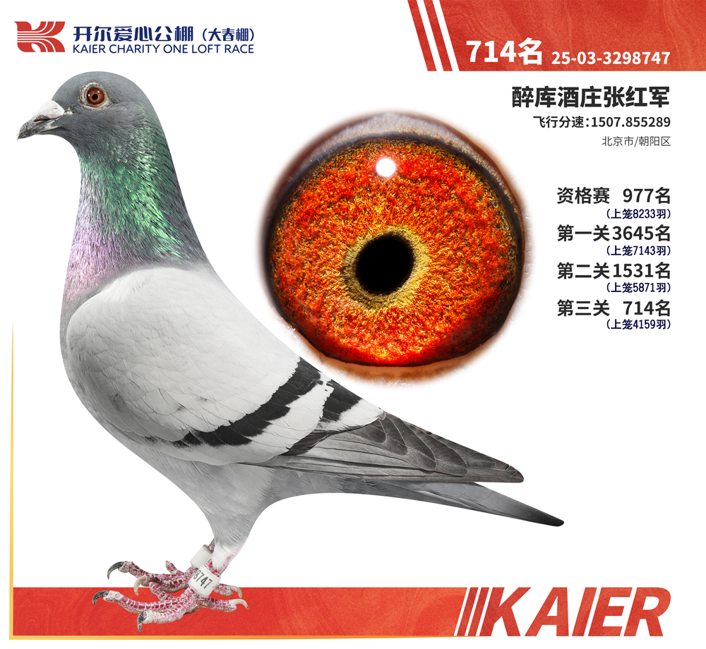 26�꿪���������714��
