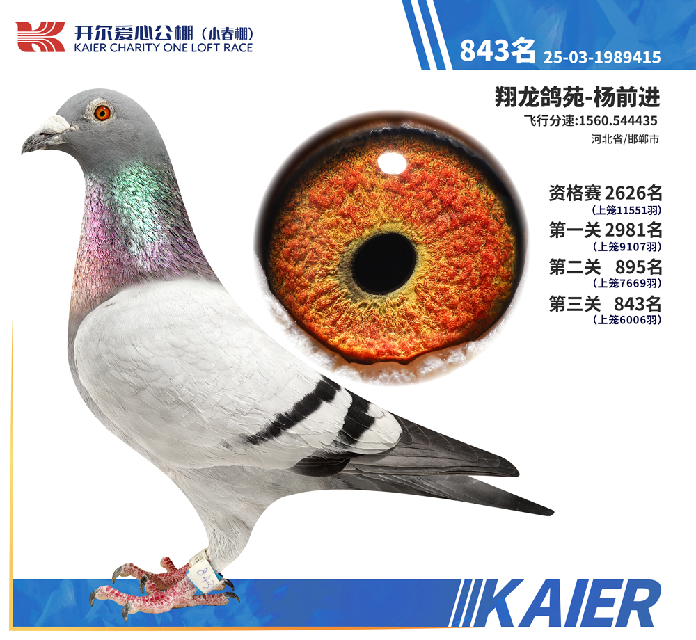 26�꿪��С�������843��