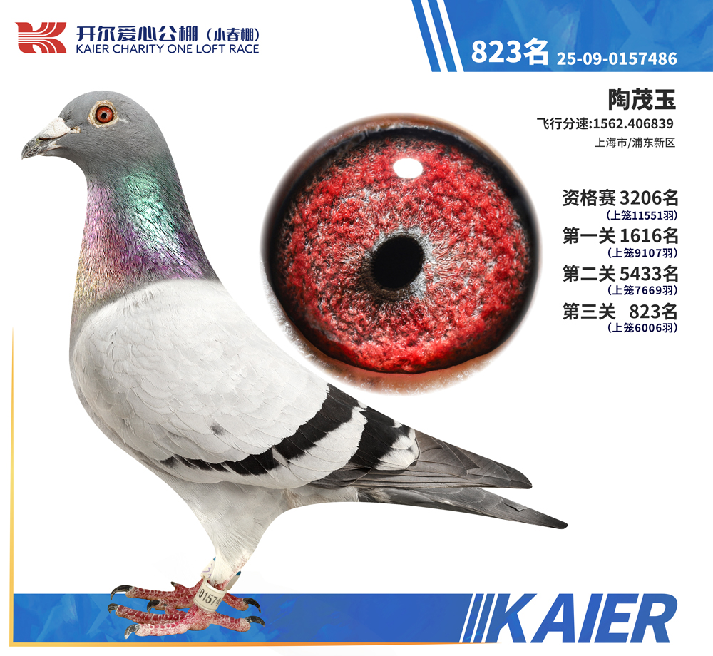 26�꿪��С�������823��