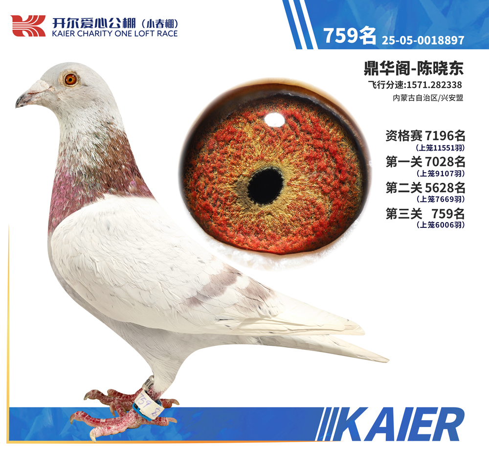 26�꿪��С�������759��