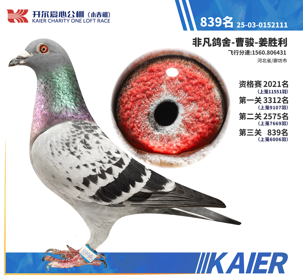 26�꿪��С�������839��