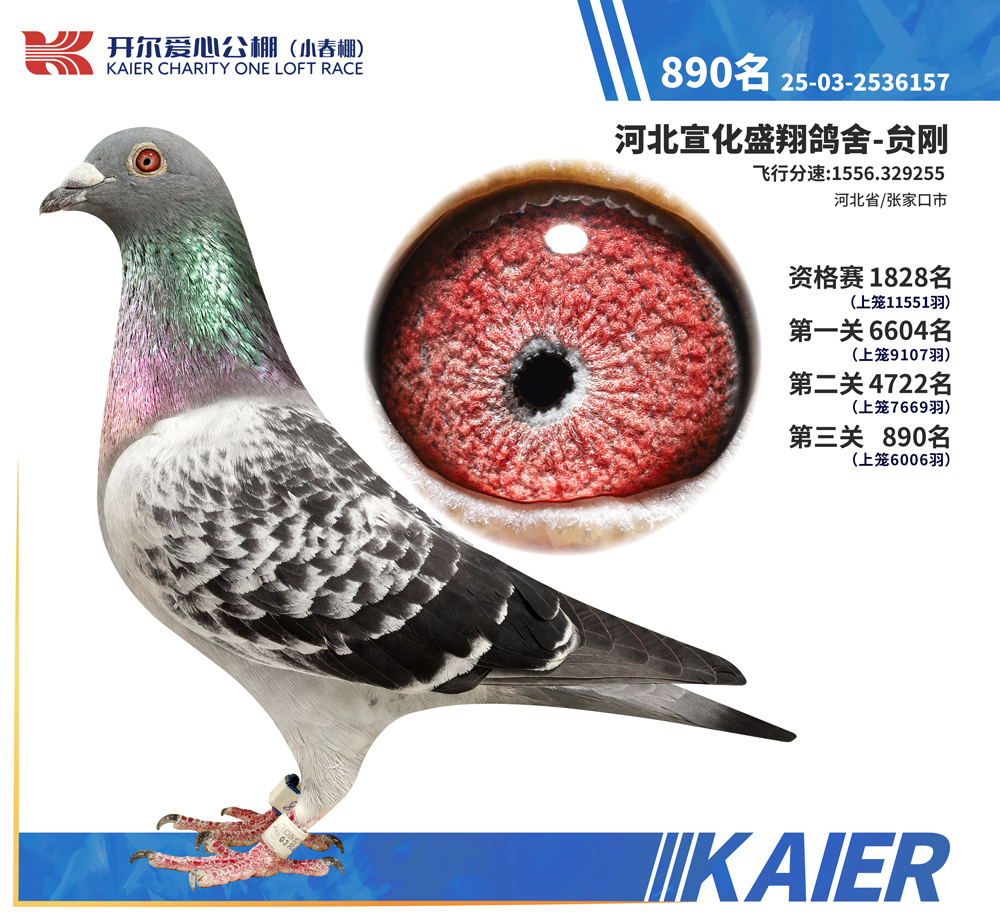 26�꿪��С�������890��