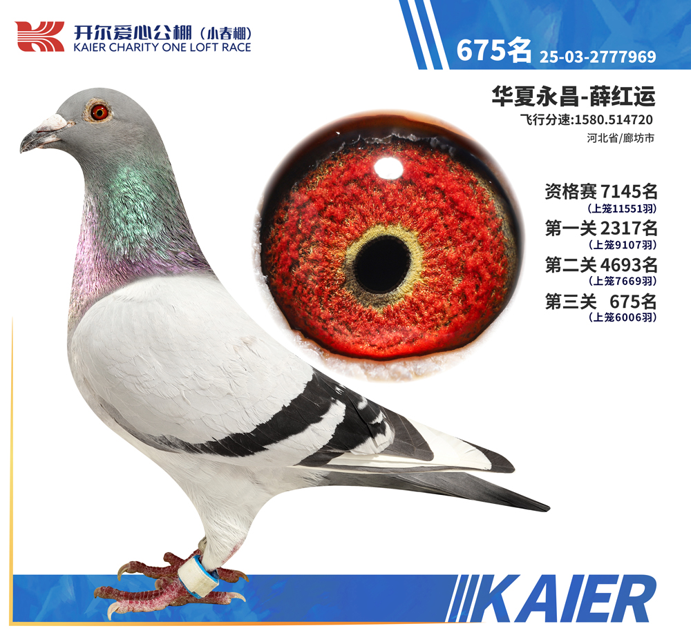 26�꿪��С�������675��