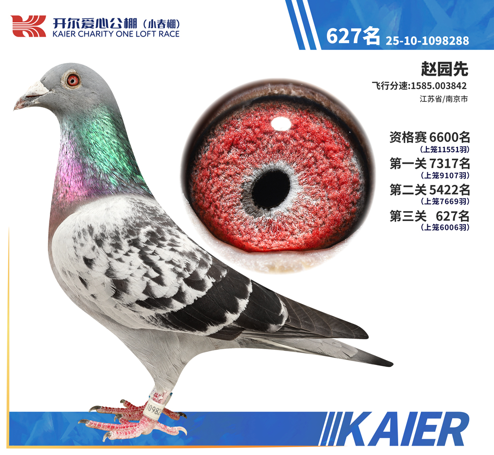 26�꿪��С�������627��