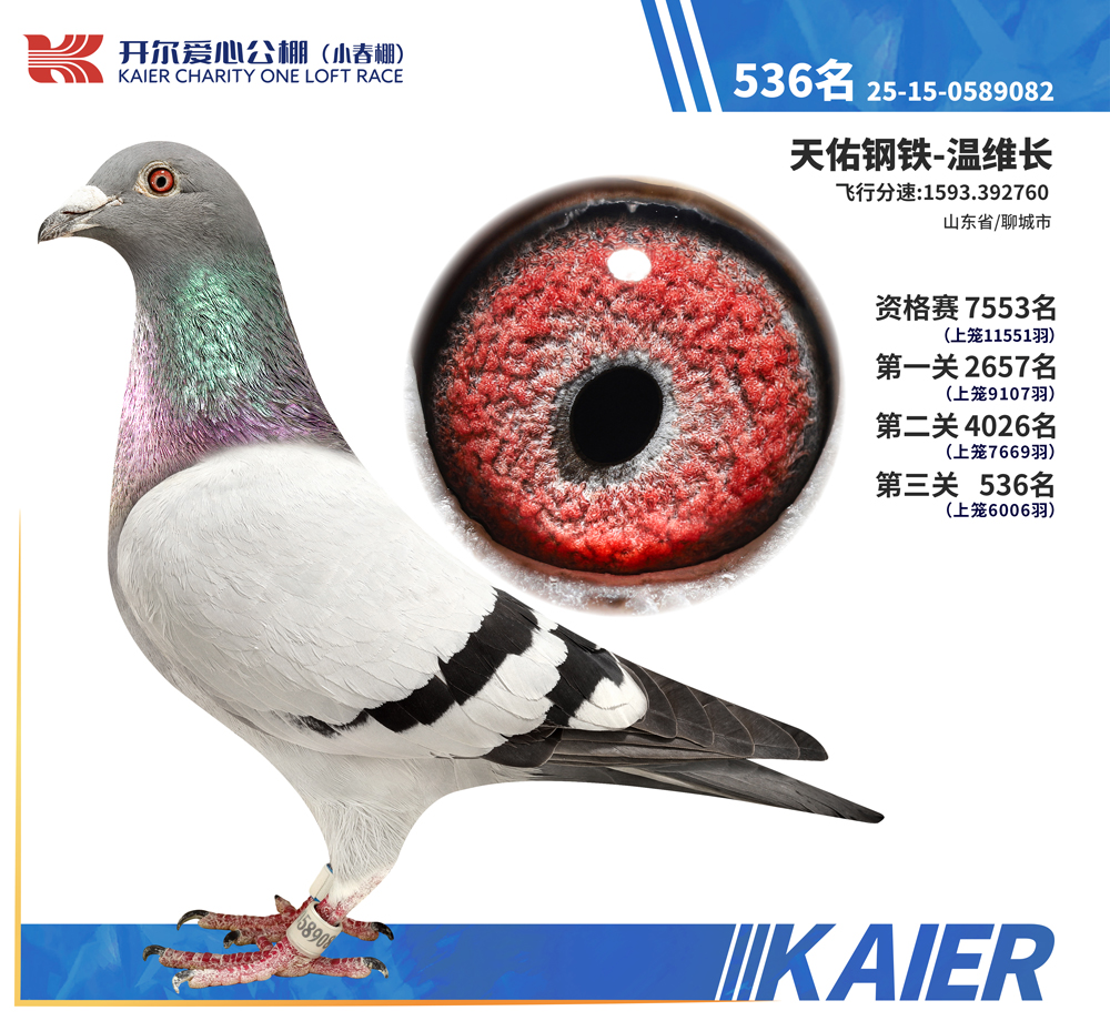 26�꿪��С�������536��