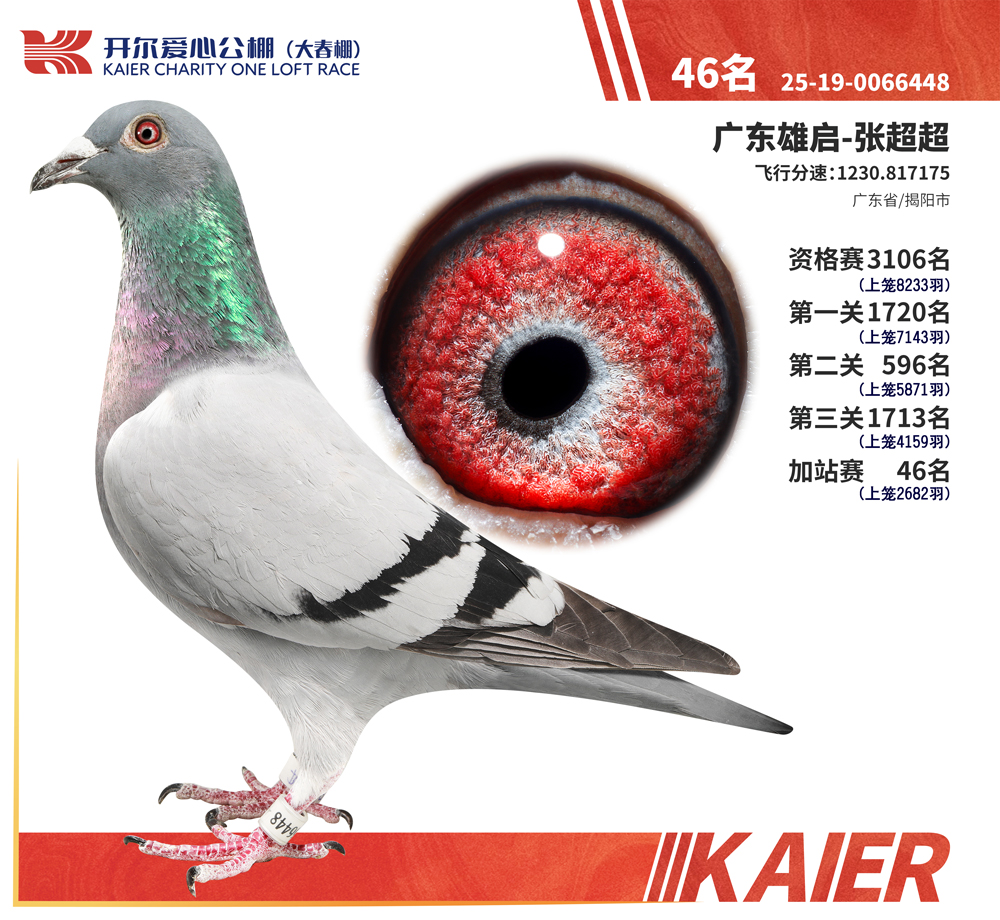26�꿪�������վ��46��