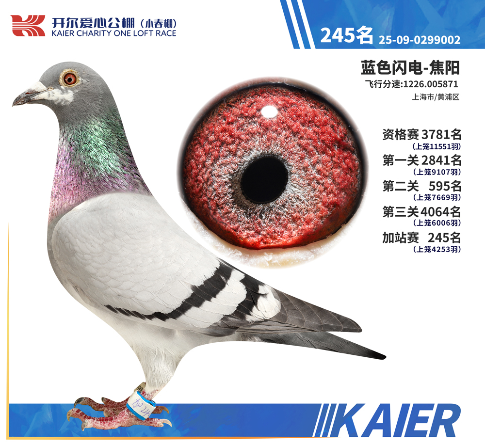 26�꿪��С�����վ��245��