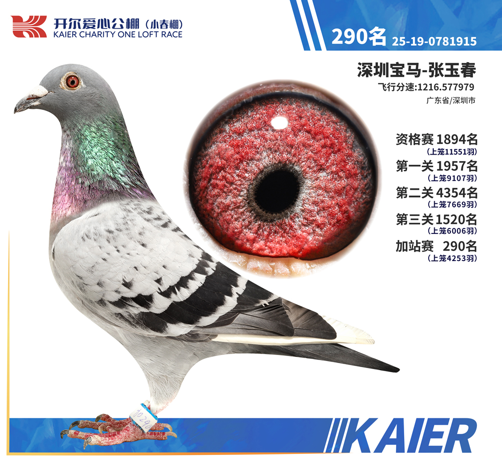 26�꿪��С�����վ��290��