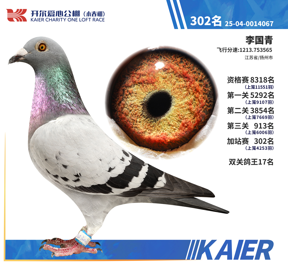 26�꿪��С����˫�ظ���17����վ302