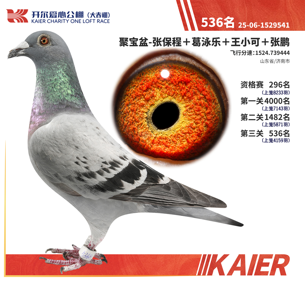 26�꿪���������536��