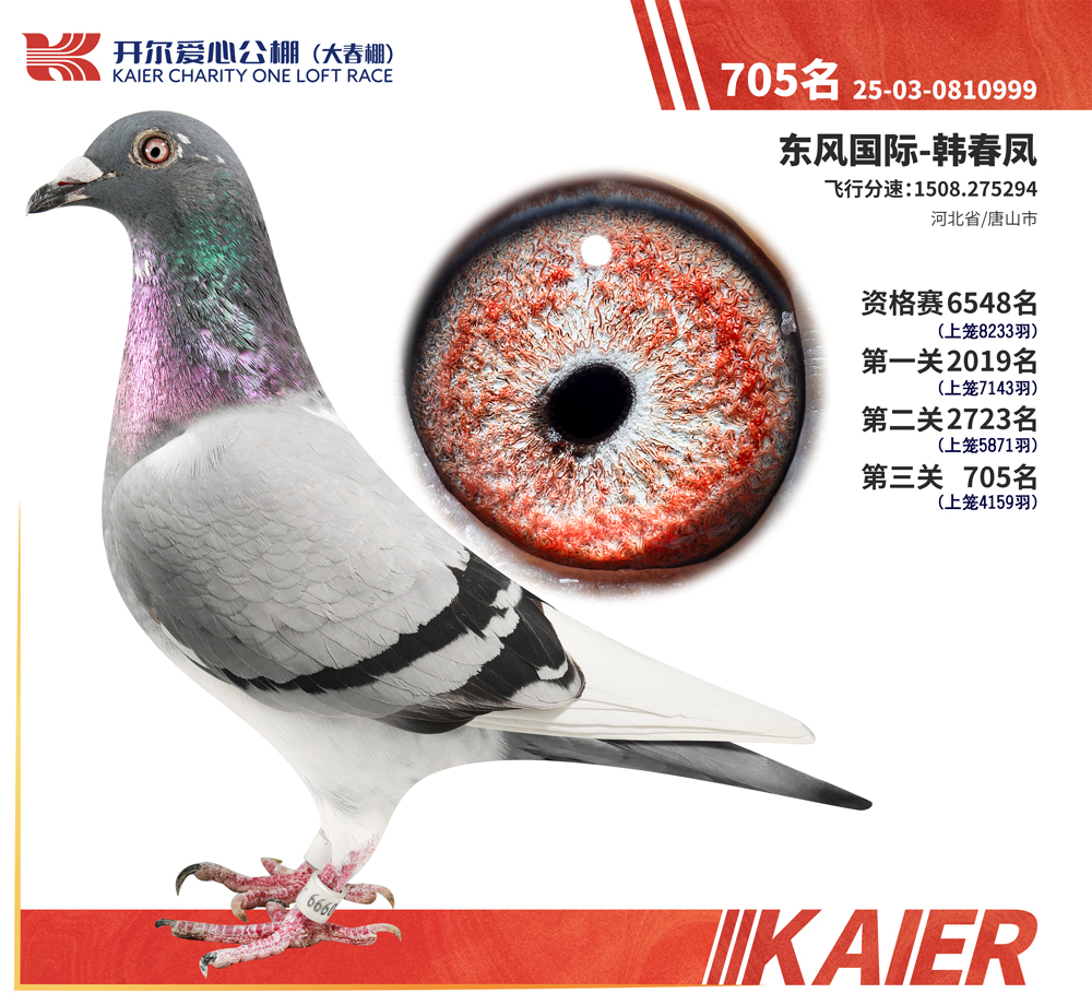26�꿪���������705��