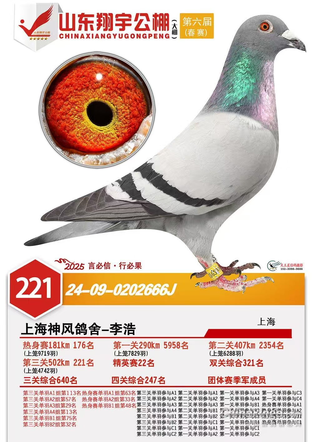 �������221��