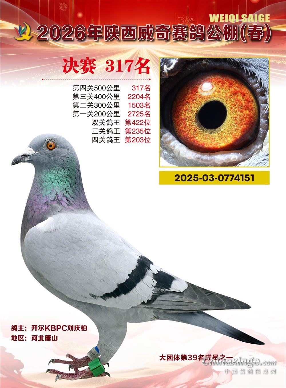 26�괺�����������317��