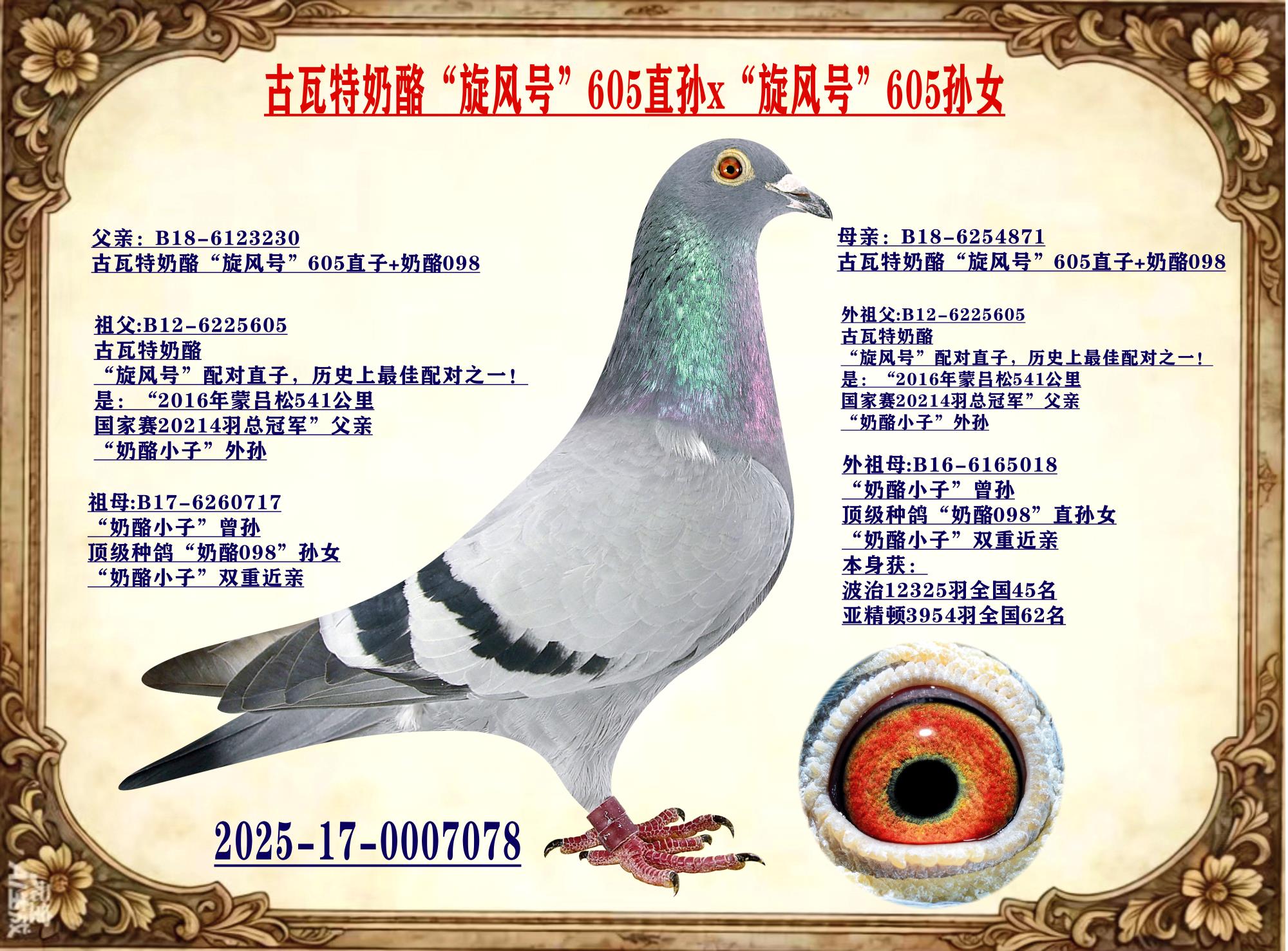 ���������ҡ�����š�605��x605��Ů