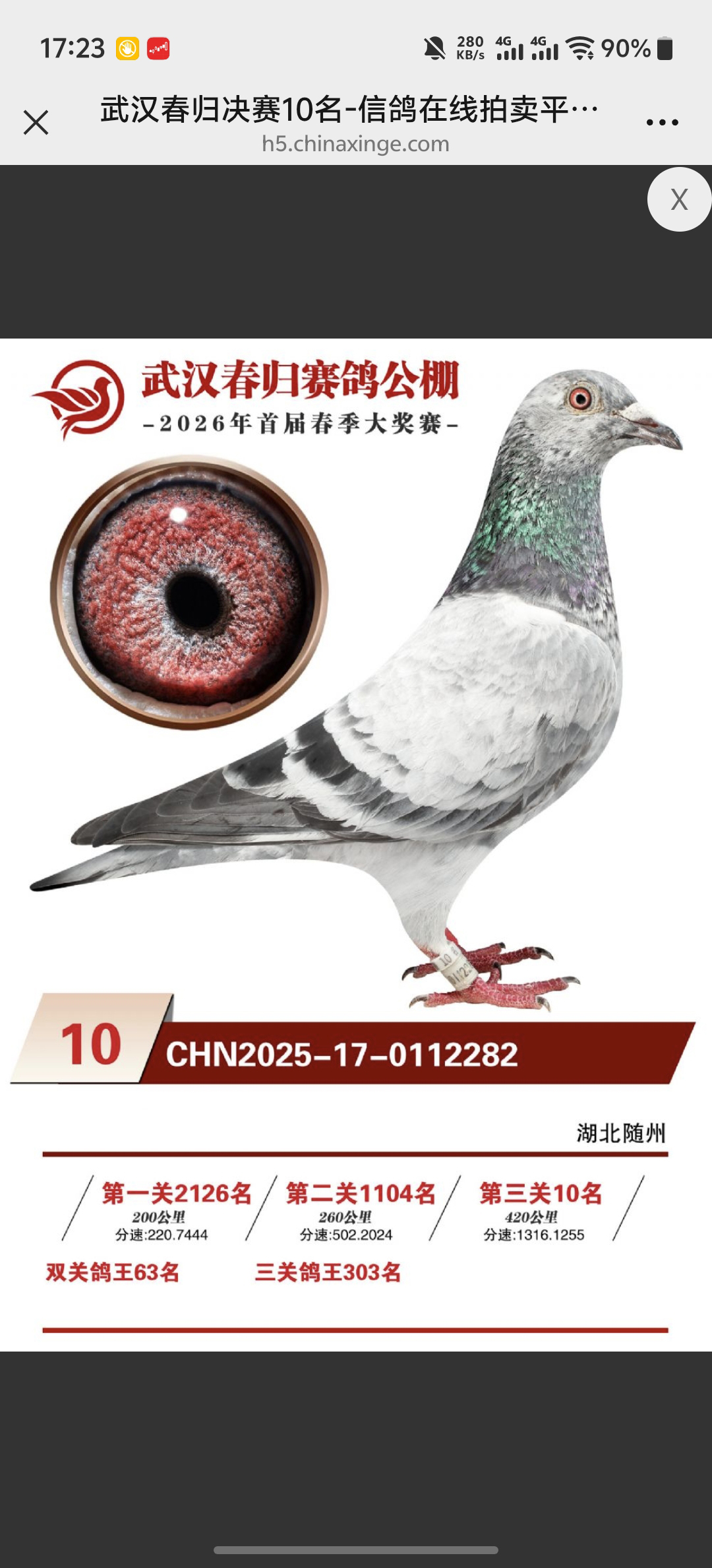 ���鹫��10��